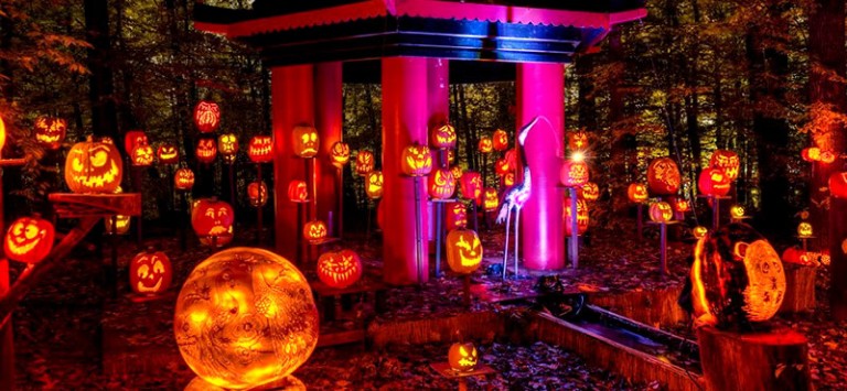 Jack O' Lantern Spectacular Louisville 2024 500 carved pumpkins