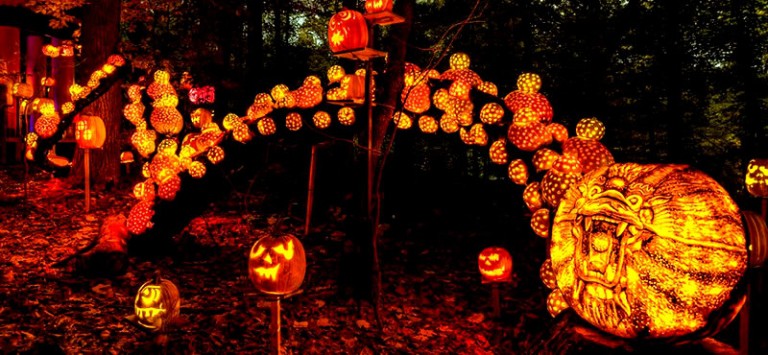 jack-o-lantern-spectacular-louisville-2024-500-carved-pumpkins