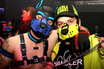 Puppy Weekend Cologne