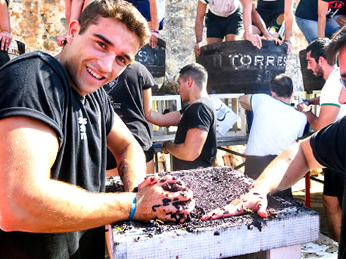 Festa de la Verema Sitges